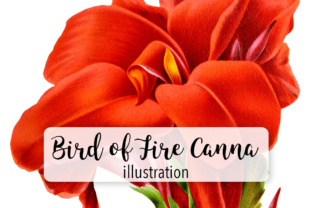Bird of Fire Canna Watercolor: A Vibrant Illustration for Creative Content