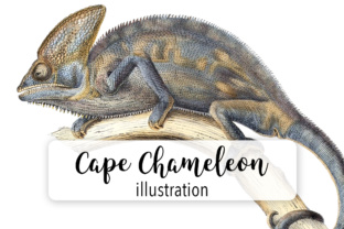Cape Chameleon Watercolor: A Review for Bloggers and Publishers