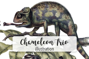 Chameleon Trio Watercolor Embroidery Review