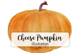 Cheese Pumpkin Watercolor Illustration Review for Bloggers and Publishers