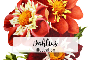 Dahlias Watercolor: A Versatile Illustration for Local Business Branding