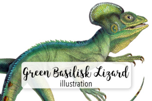 Green Basilisk Lizard Watercolor Embroidery Review