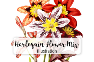 Herlequin Flower Mix Watercolor: A Designer’s Honest Take