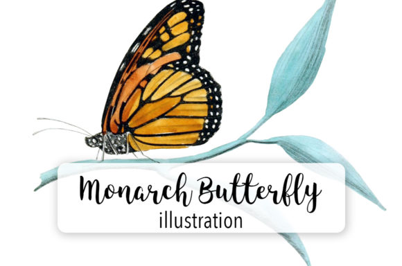 Monarch Butterfly Watercolor: A Practical Review for Illustrations and Digital Sellers