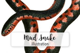 Mud Snake Watercolor: A Brand Designer’s Review for Illustrations