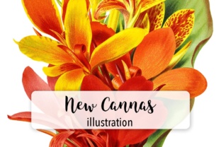 New Cannas Watercolor – A Versatile Graphic Design Asset for Modern Branding