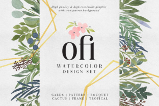 Ofi Watercolor Design Set Review: Elevating Illustrations for Client Projects