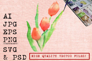 Red Tulips Watercolor: A Designer’s Review for Modern Illustrations