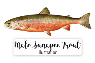 Review: Sunapee Trout Watercolor Embroidery Design