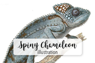Spiny Chameleon Watercolor: A Practical Review for Digital Illustrations