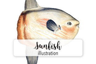 Sunfish Watercolor: A Brand Designer’s Review of These Illustrations