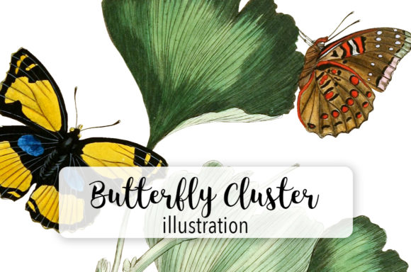 Vintage Butterfly Cluster Watercolor: Illustrations for Branding