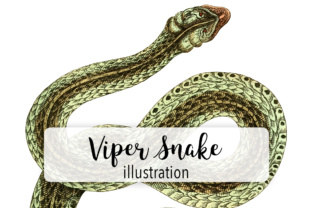 Viper Snake Watercolor Embroidery Review