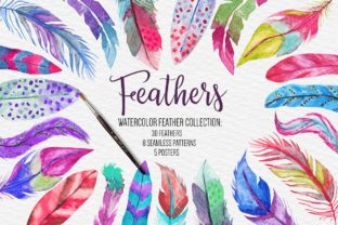 Watercolor Feathers Collection: Illustrations for Boutique Branding