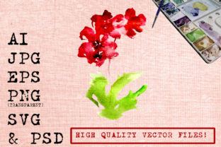 Watercolor Maroon Orchids Illustrations