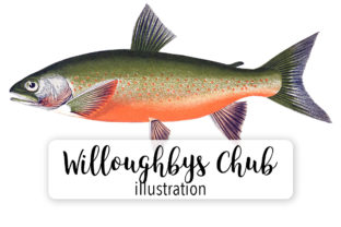 Willoughbys Chub Watercolor Illustrations Review