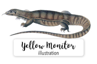 Yellow Monitor Watercolor: A Designer’s Review for Illustrations and Branding